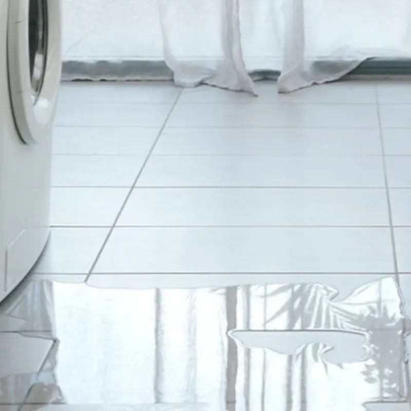 Appliance Leak Cleanup in Long Grove, IL