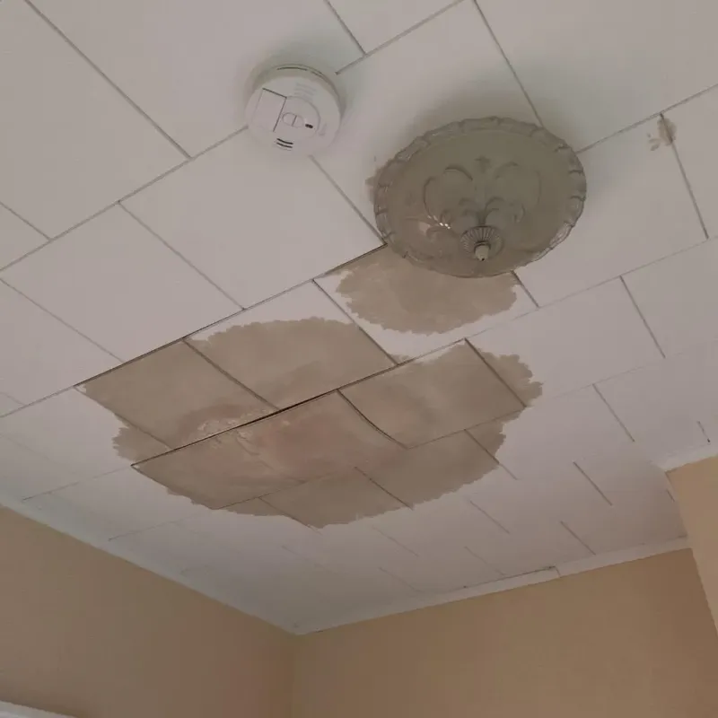 Ceiling Water Damage Repair in Long Grove, IL